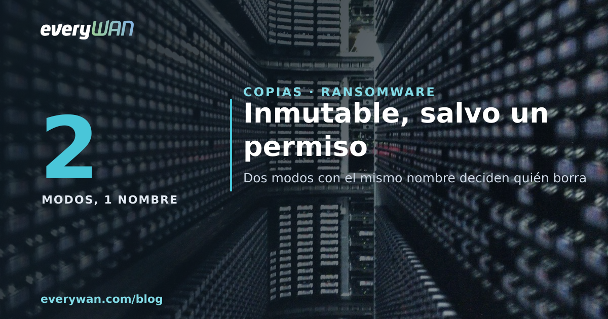 Interior d'una llibreria de cintes amb els cartutxos alineats a les seves ranures