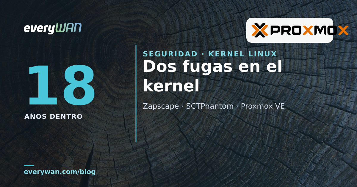 Sección de un tronco con sus anillos de crecimiento: capas acumuladas durante años, como el código del kernel donde se escondían Zapscape y SCTPhantom